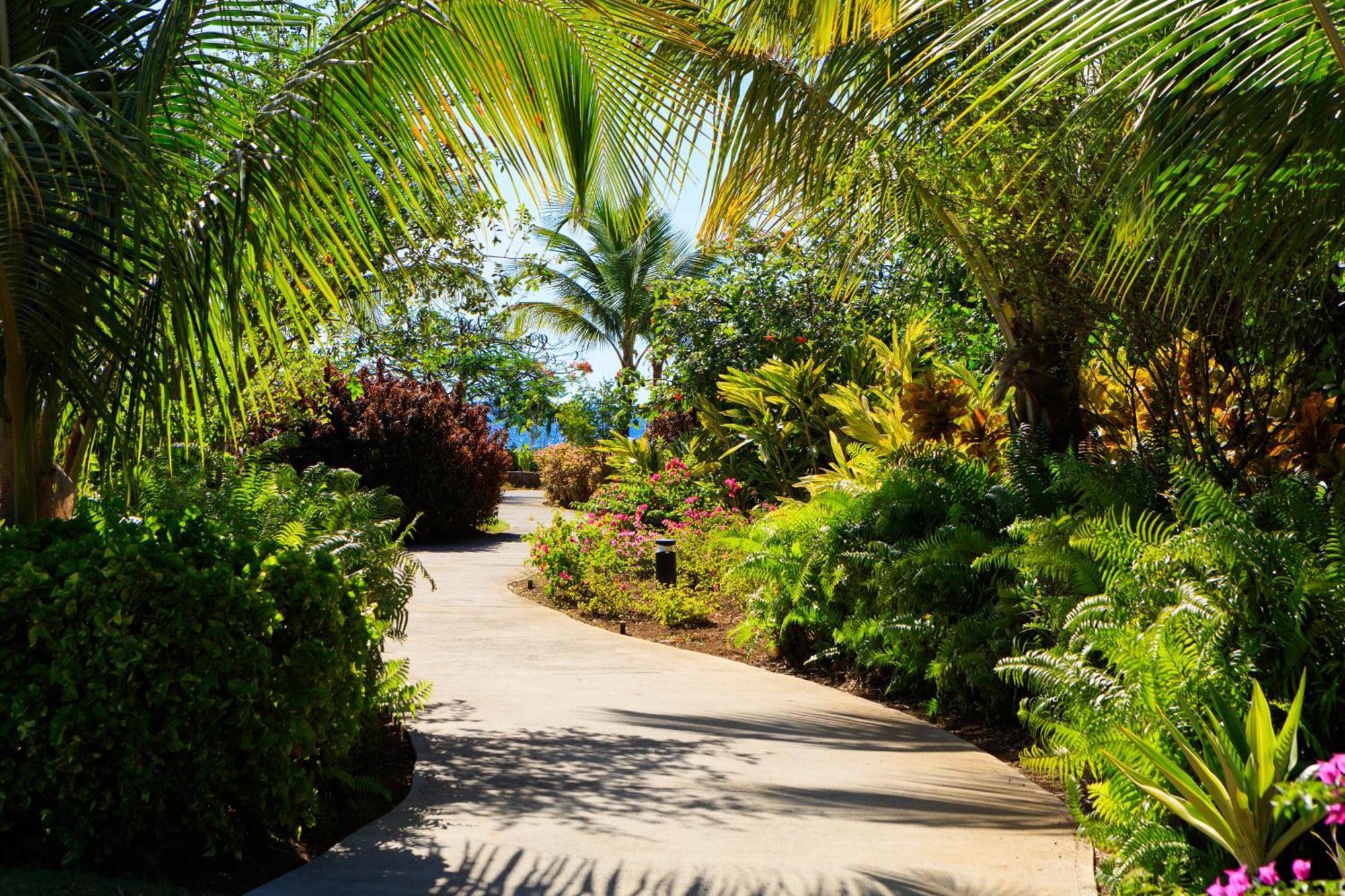 Intercontinental Dominica Cabrits Resort & Spa By Ihg Portsmouth Exterior foto